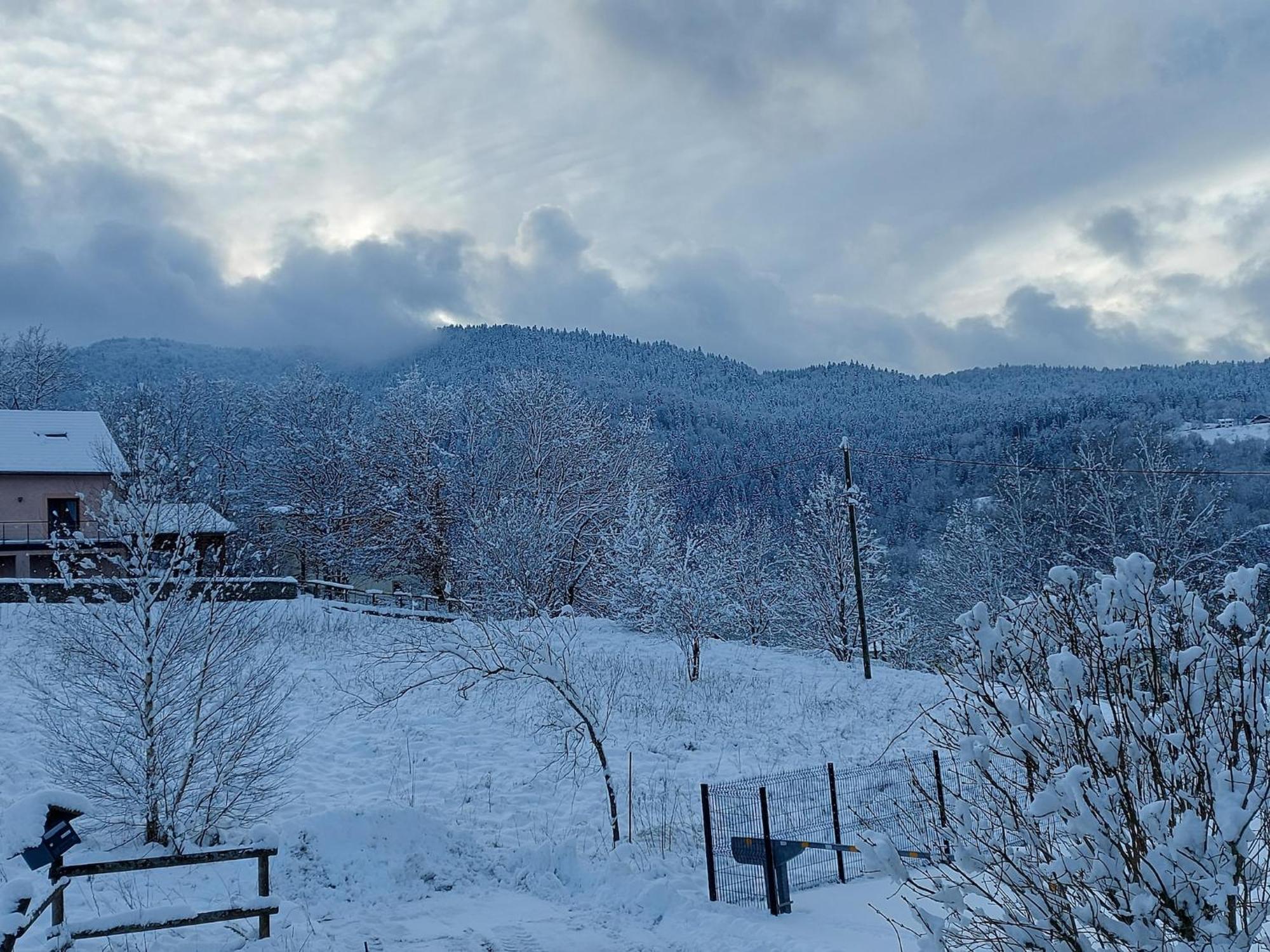 Nice Chalet With Sauna In Vosges サン・モーリス・シュル・モセル エクステリア 写真
